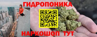 бошки Дубна