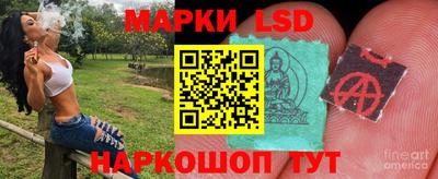 МДПВ Донецк