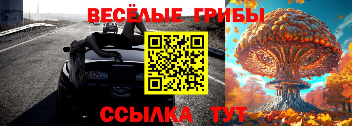 Мурманск  купить наркотик  Вход с VPN  Галлюциногенные грибы Psilocybe 