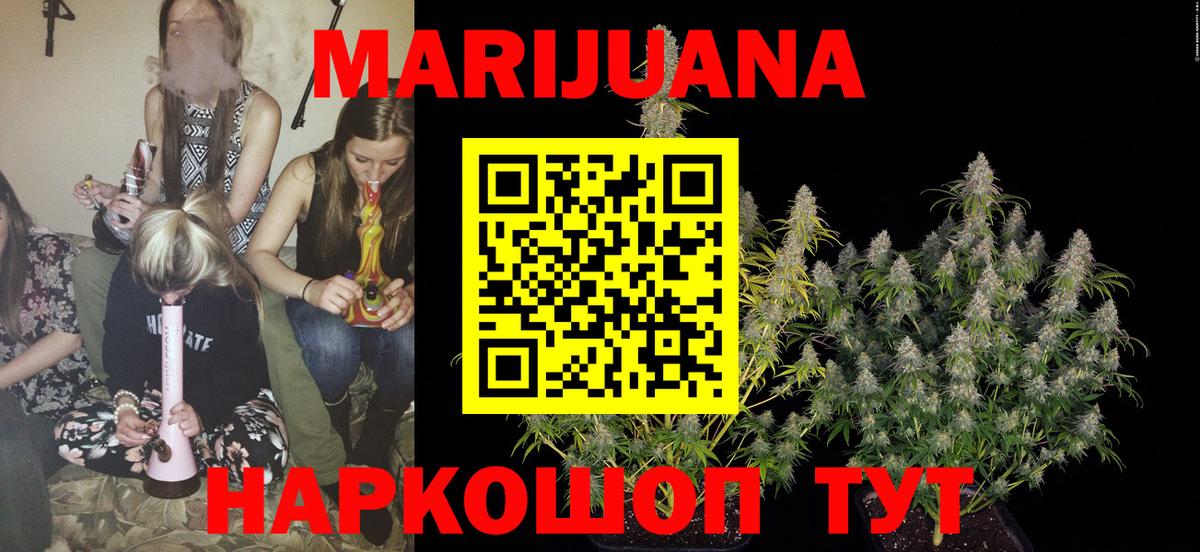 Бошки Шишки SATIVA & INDICA  Вход с VPN  Шишки марихуана SATIVA & INDICA  Мурманск  Марихуана OG Kush 